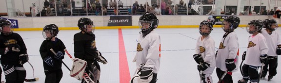 Irvine Rink Irvine Inline